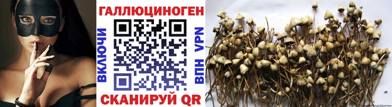 Галлюциногенные грибы Cubensis  купить наркотик  Липки 